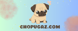 chopugaz.com